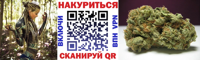 Альфа ПВП Озёры