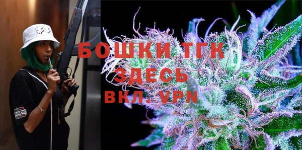 бошки Новозыбков