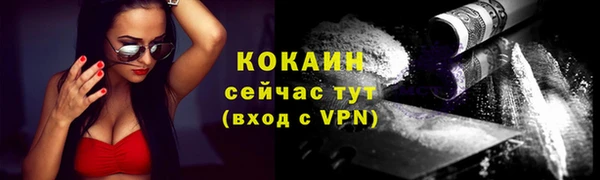 сатива Новодвинск