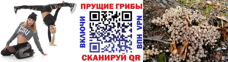 Галлюциногенные грибы мицелий  Озёры 